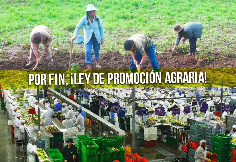 Por fin, ¡Ley de Promoción Agraria!