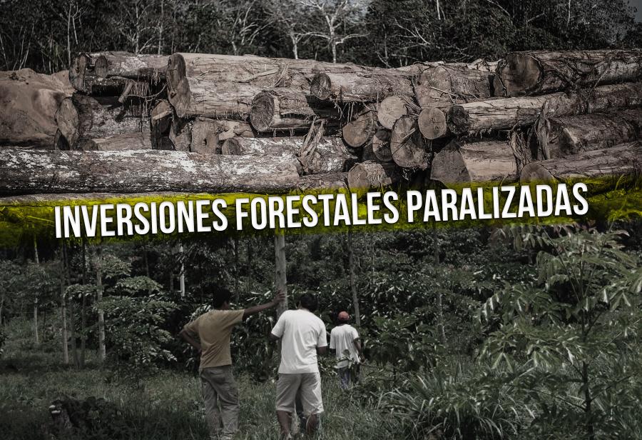 Inversiones forestales paralizadas