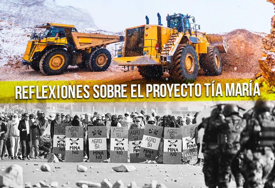 Reflexiones sobre el proyecto Tía María