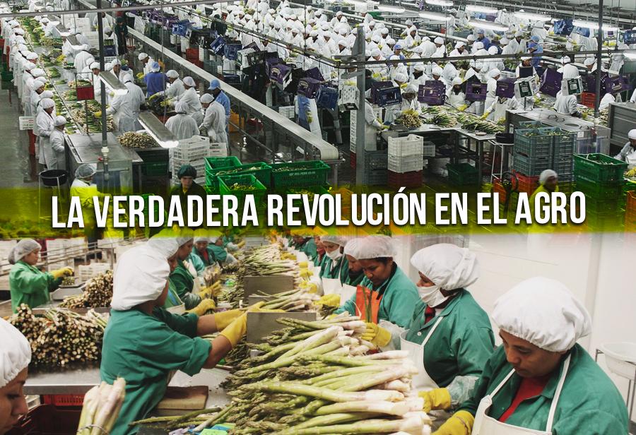 La verdadera revolución en el agro