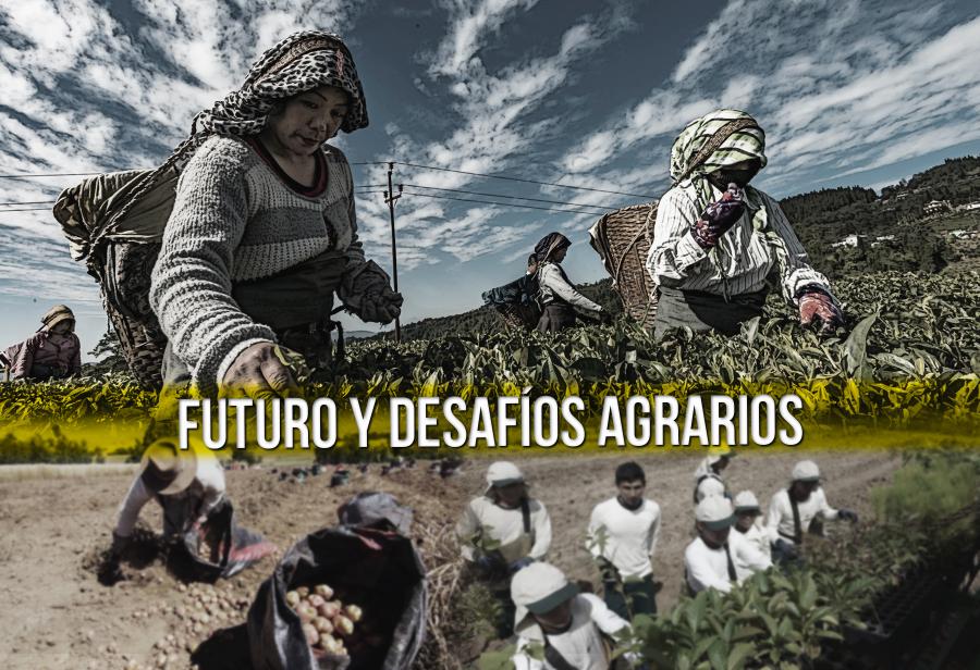 Futuro y desafíos agrarios