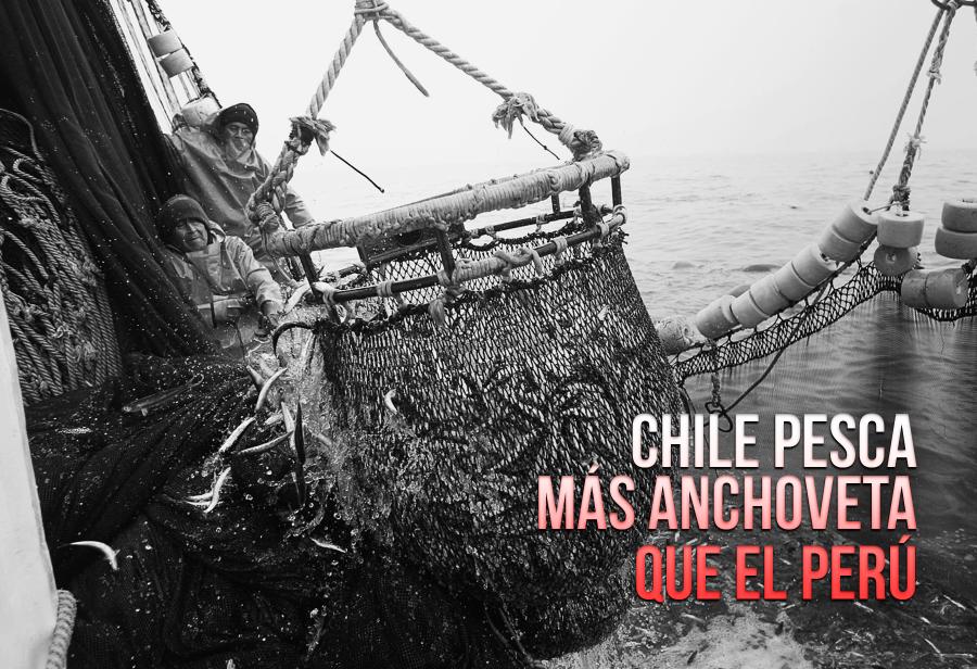 Zona sur: Chile pesca más anchoveta que el Perú