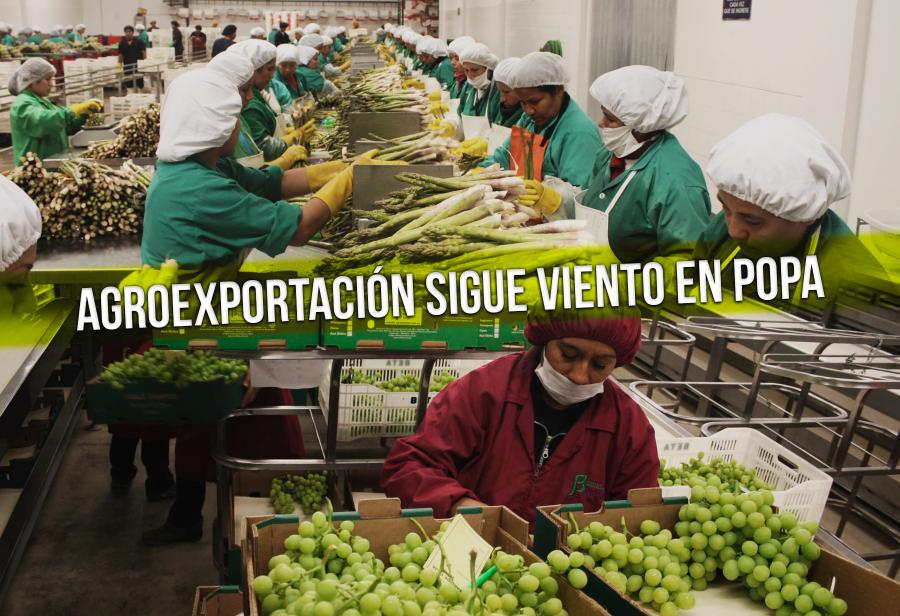 Agroexportación sigue viento en popa