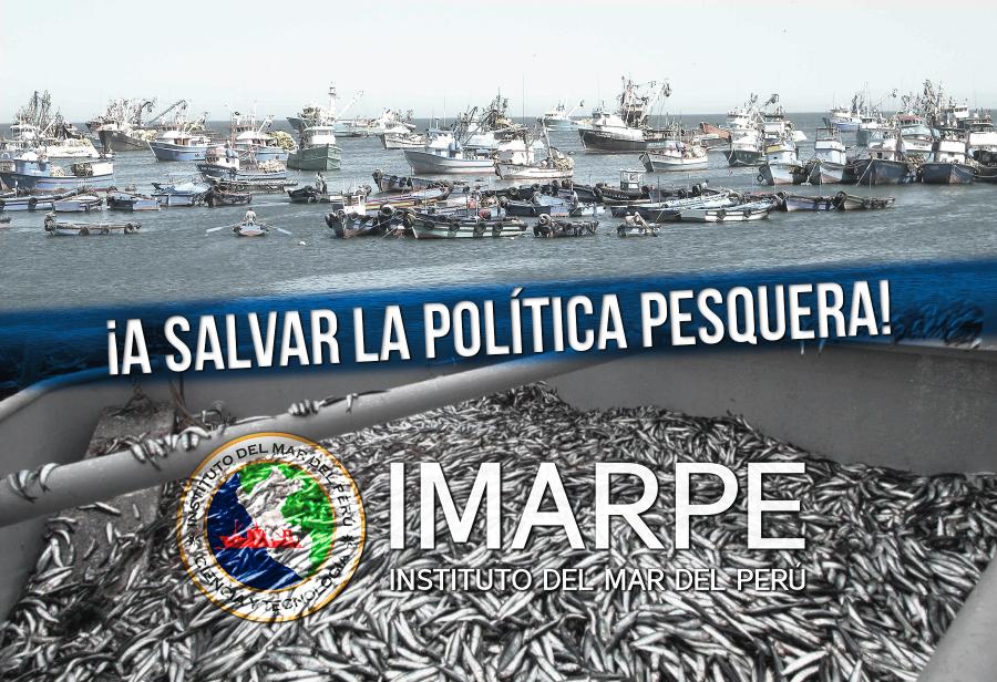 Importancia del Imarpe en política pesquera