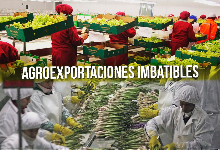 Frutas y hortalizas: agroexportaciones imbatibles