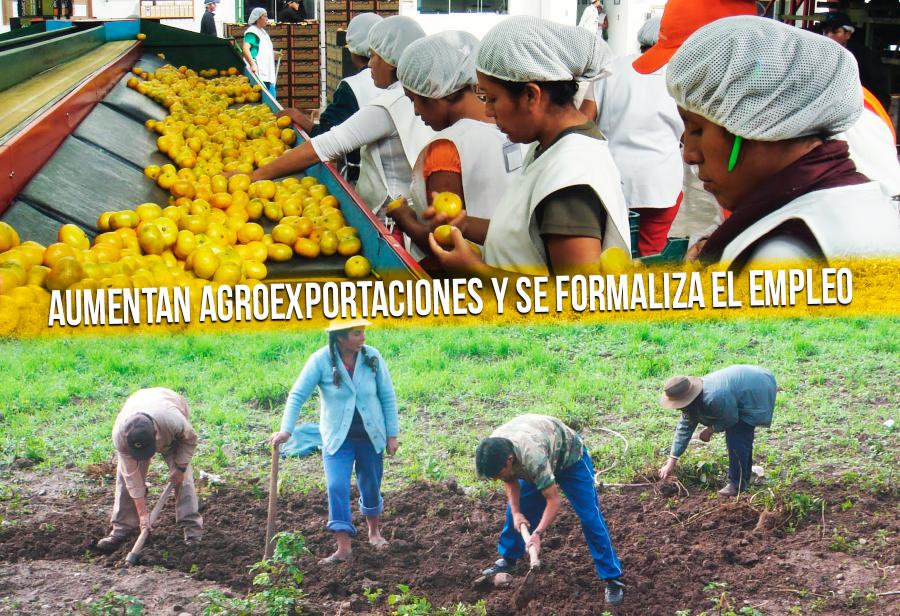 Ley de Promoción Agraria debe ser la base de la gran reforma