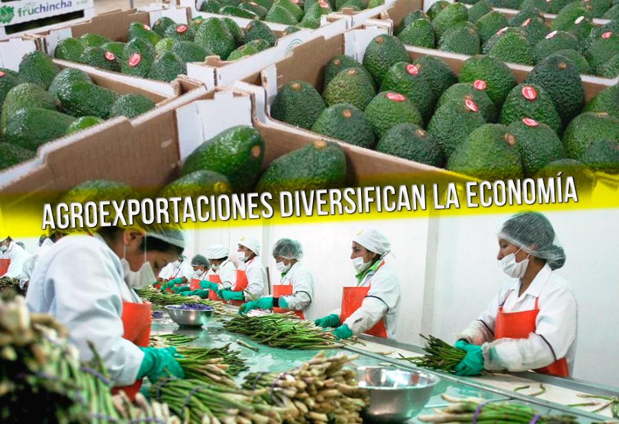Agroexportaciones diversifican la economía