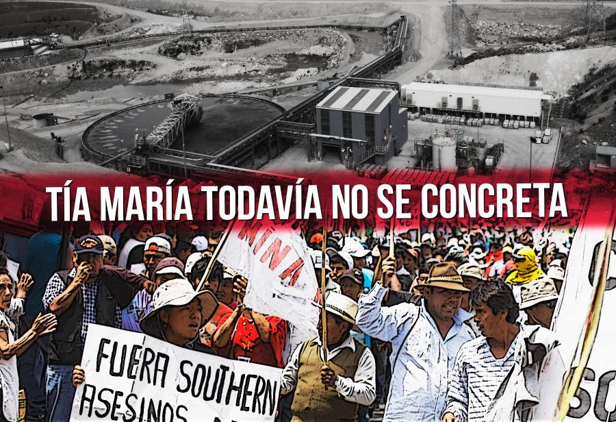 Tía María todavía no se concreta