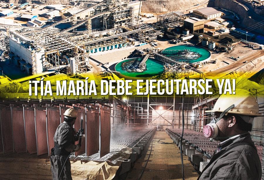 Urgente: ¡Tía María debe ejecutarse ya!