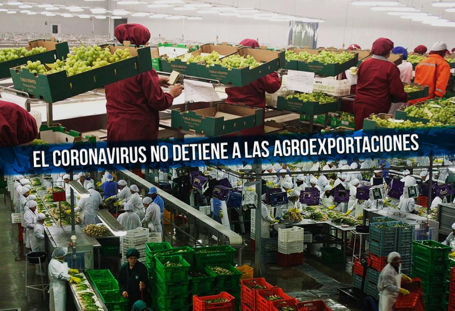El coronavirus no detiene a las agroexportaciones