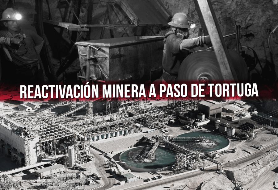 Reactivación minera a paso de tortuga