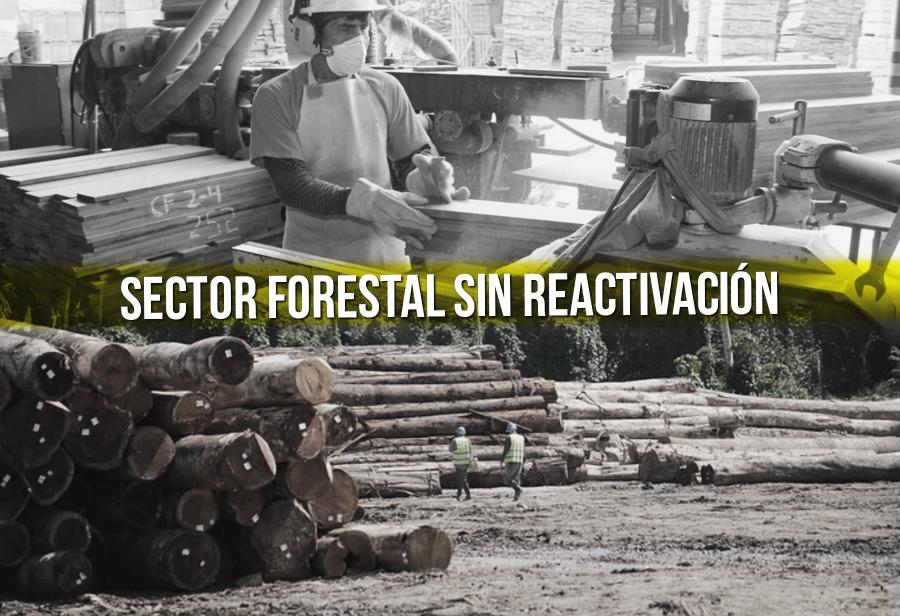 Sector forestal sin reactivación