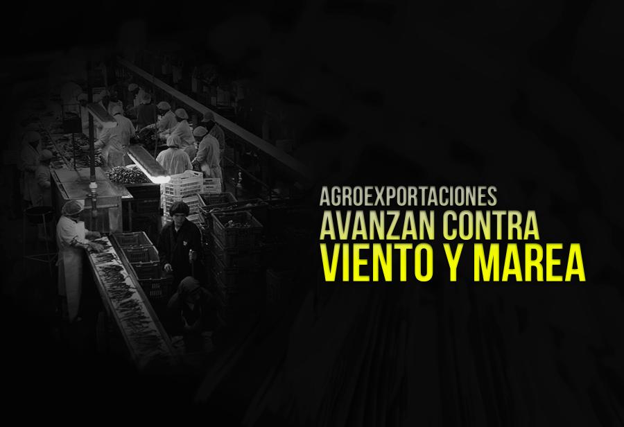 Agroexportaciones avanzan contra viento y marea