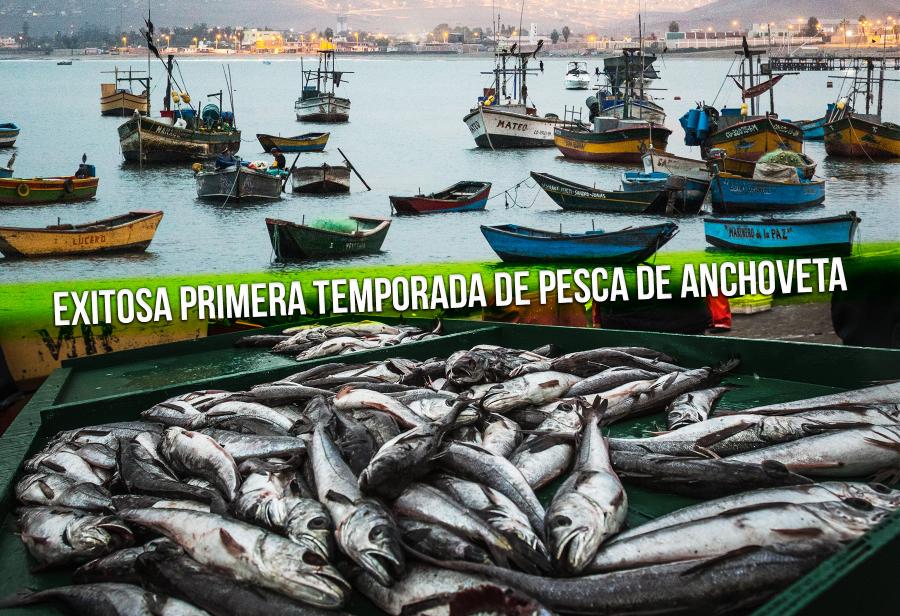 ¡Buenas noticias pesqueras!
