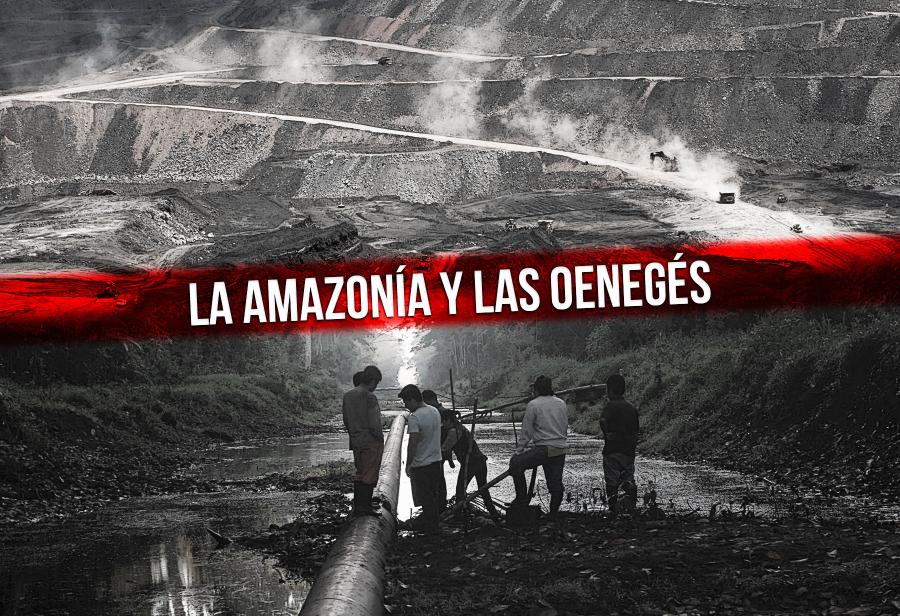 La amazon&iacute;a y las oeneg&eacute;s