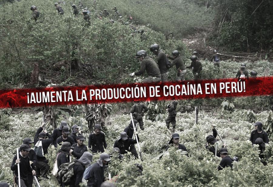 ¡Aumenta la producción de cocaína en Perú!