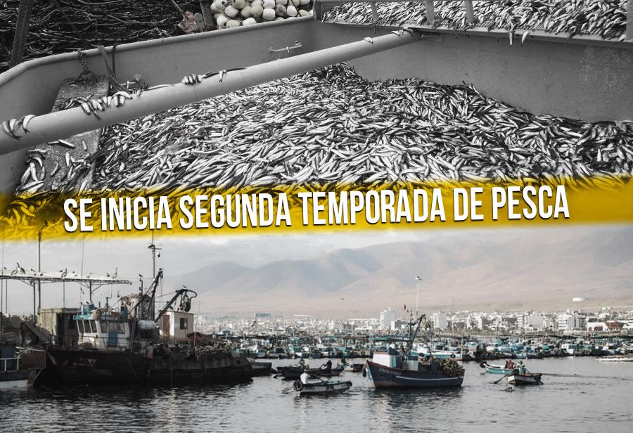 Buenas noticias pesqueras