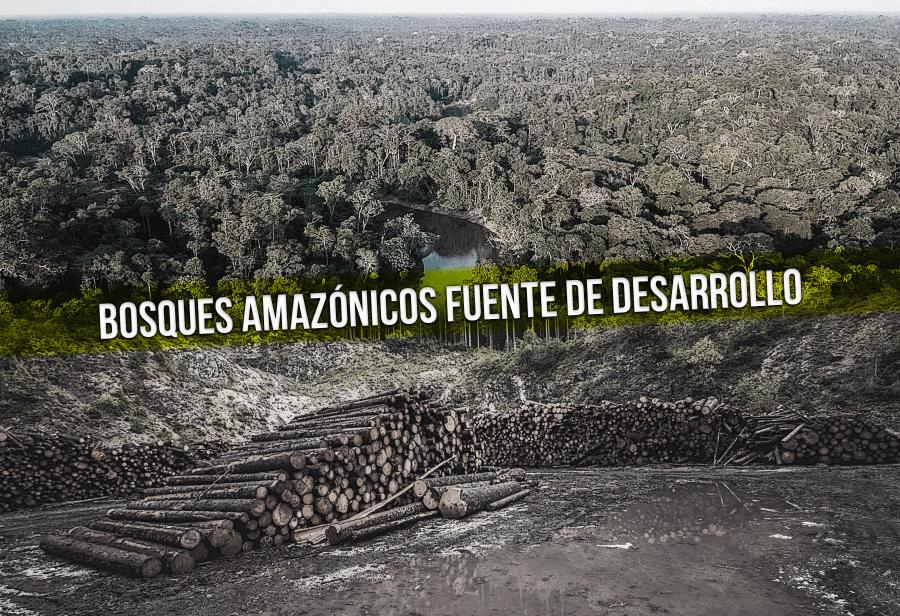 Bosques amazónicos: fuente de desarrollo