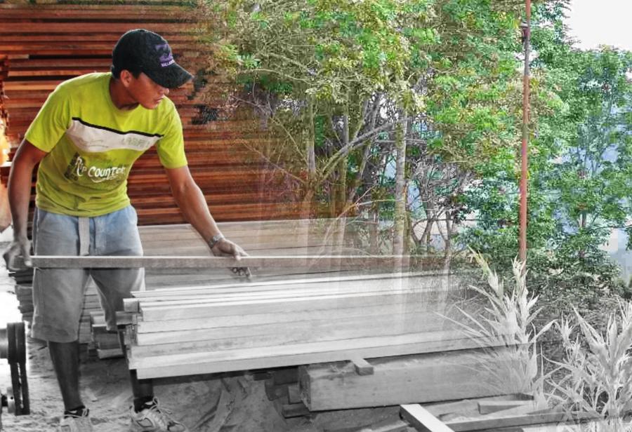 Sector forestal sigue cayendo