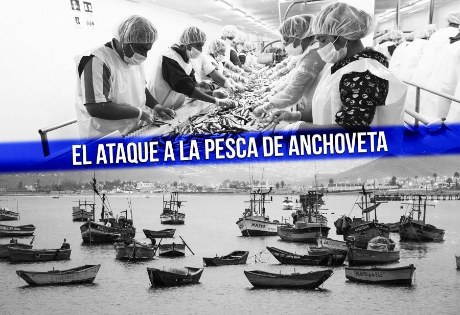 El ataque a la pesca de anchoveta