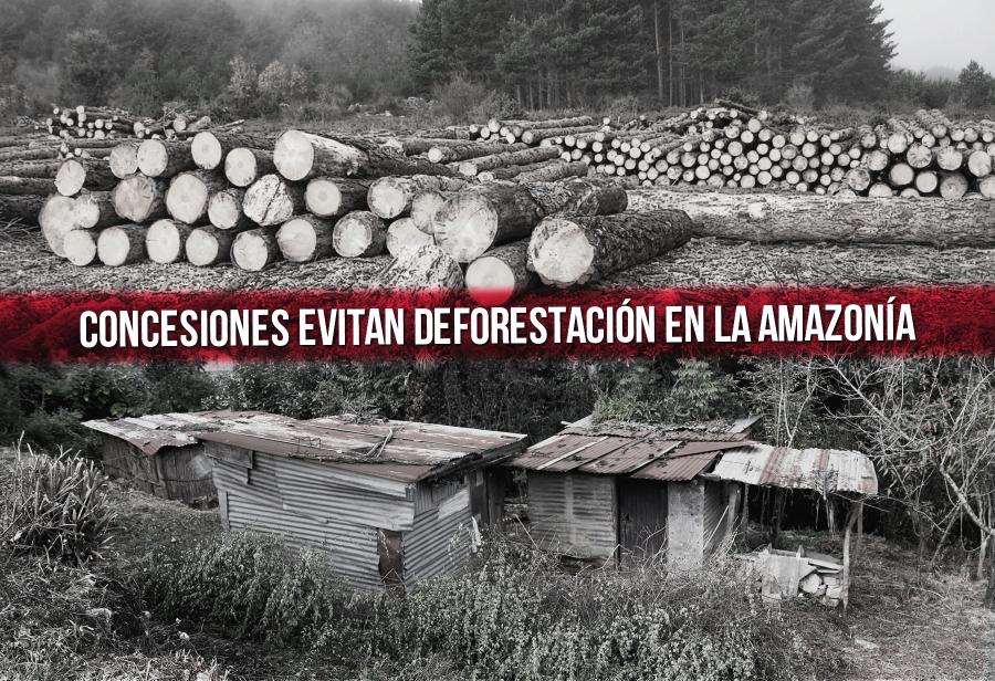 Concesiones evitan deforestación en la Amazonía