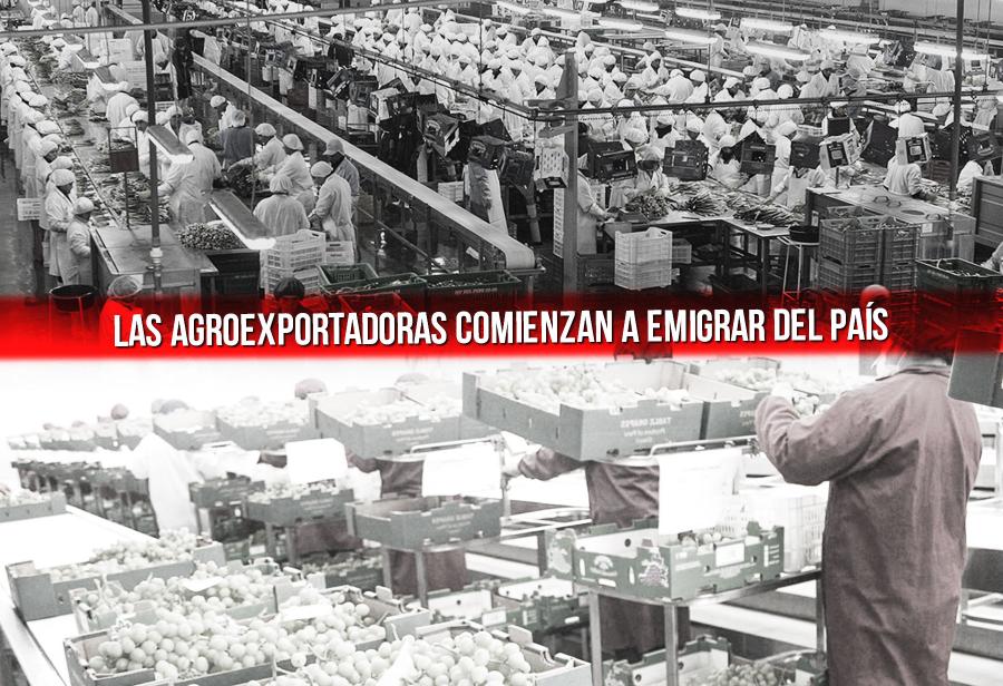 Las agroexportadoras comienzan a emigrar del país