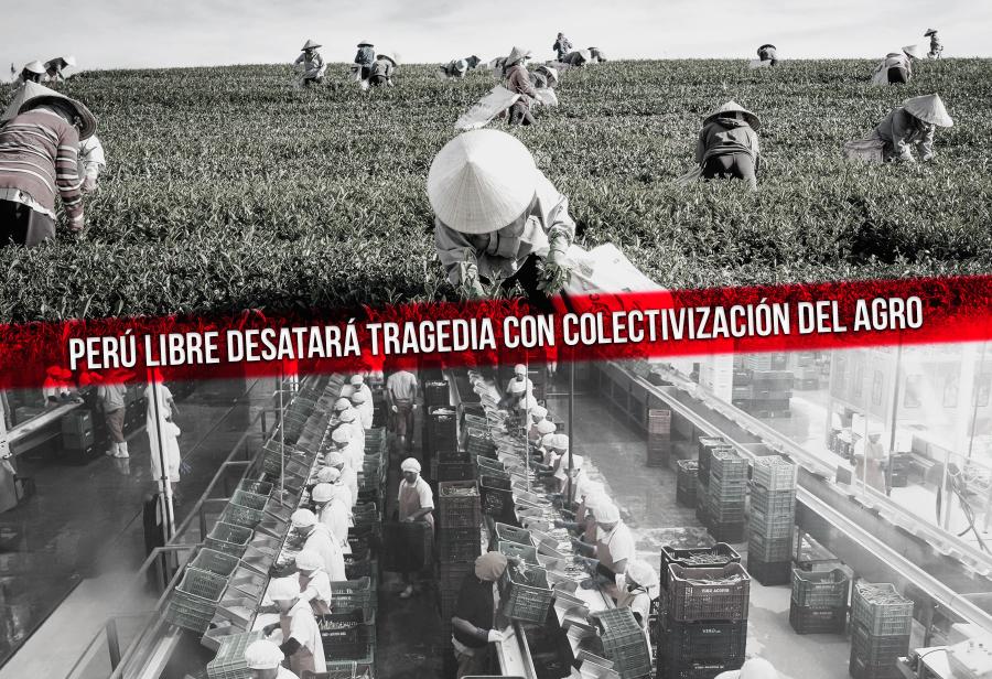 Perú Libre desatará tragedia con colectivización del agro