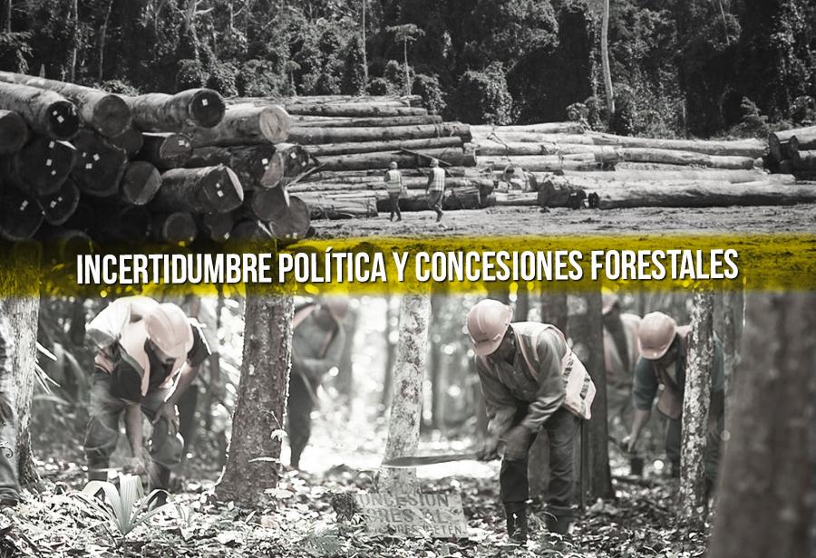 Incertidumbre política y concesiones forestales