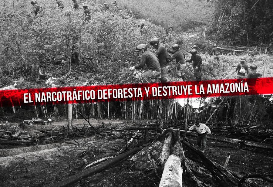 El narcotráfico deforesta y destruye la Amazonía