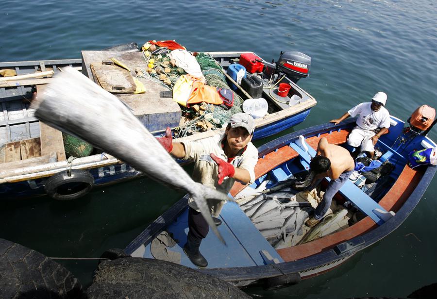 Primera temporada de pesca a la vista