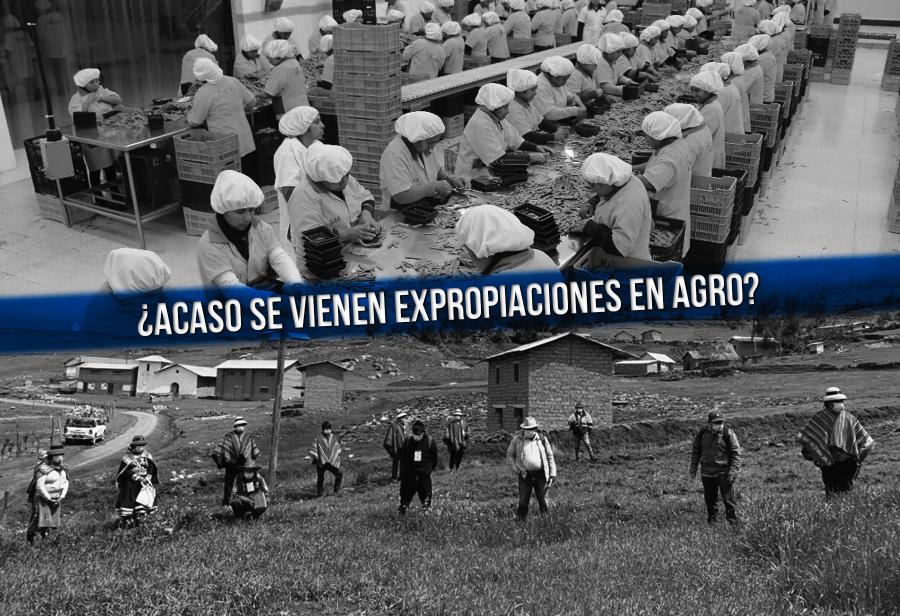 Se pretendió excluir al sector agroexportador, ¿acaso se vienen expropiaciones?