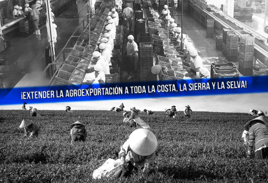 ¡Extender la agroexportación a toda la costa, la sierra y la selva!