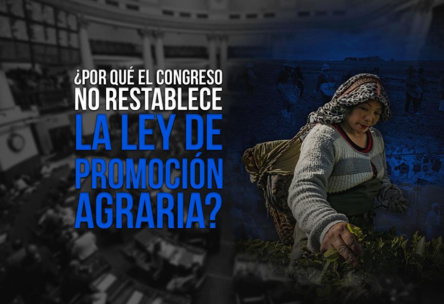 ¿Por qué el Congreso no restablece la Ley de Promoción Agraria?
