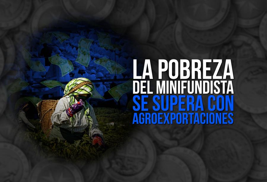 La pobreza del minifundista se supera con agroexportaciones