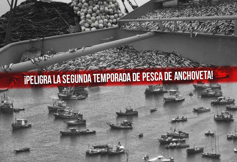 ¡Peligra la segunda temporada de pesca de anchoveta!