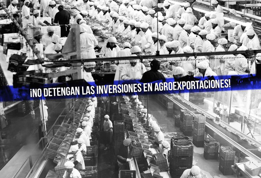 ¡No detengan las inversiones en agroexportaciones!