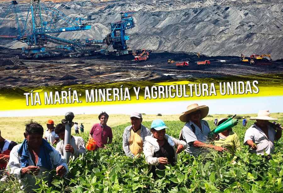 T&iacute;a Mar&iacute;a: miner&iacute;a y agricultura unidas