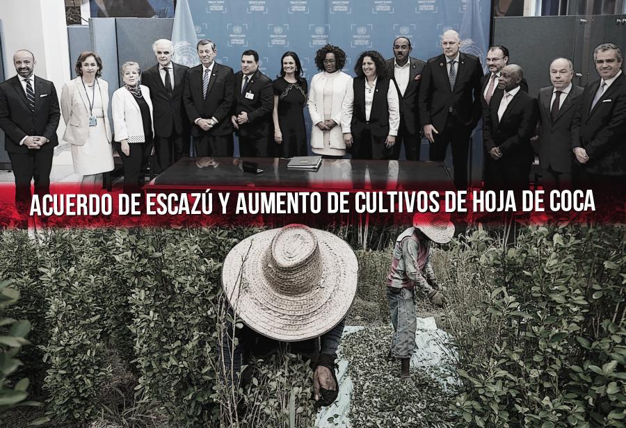 Acuerdo de Escaz&uacute; y aumento de cultivos de hoja de coca
