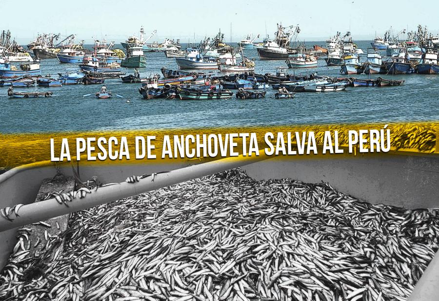 La pesca de anchoveta salva al Per&uacute;