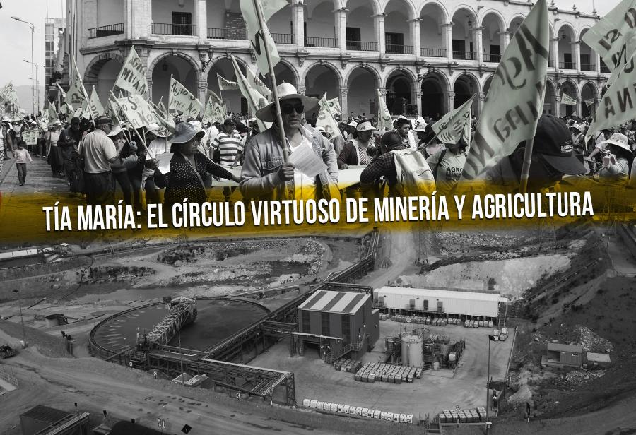 Tía María: el círculo virtuoso de minería y agricultura