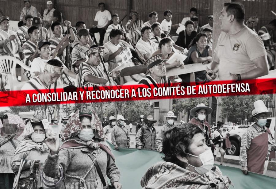 A consolidar y reconocer a los Comités de Autodefensa
