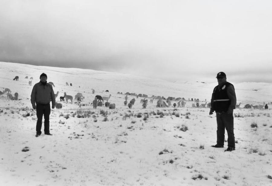 Heladas siguen cobrando v&iacute;ctimas