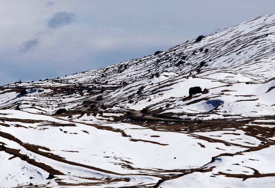 Helada desnuda inoperancia del Estado