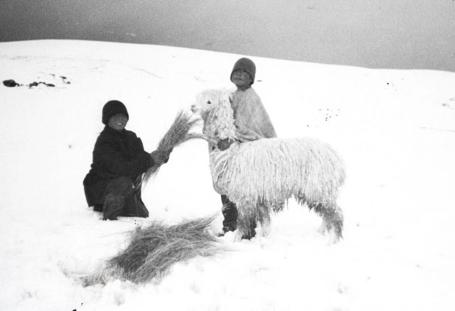 Heladas y friaje siguen cobrando v&iacute;ctimas