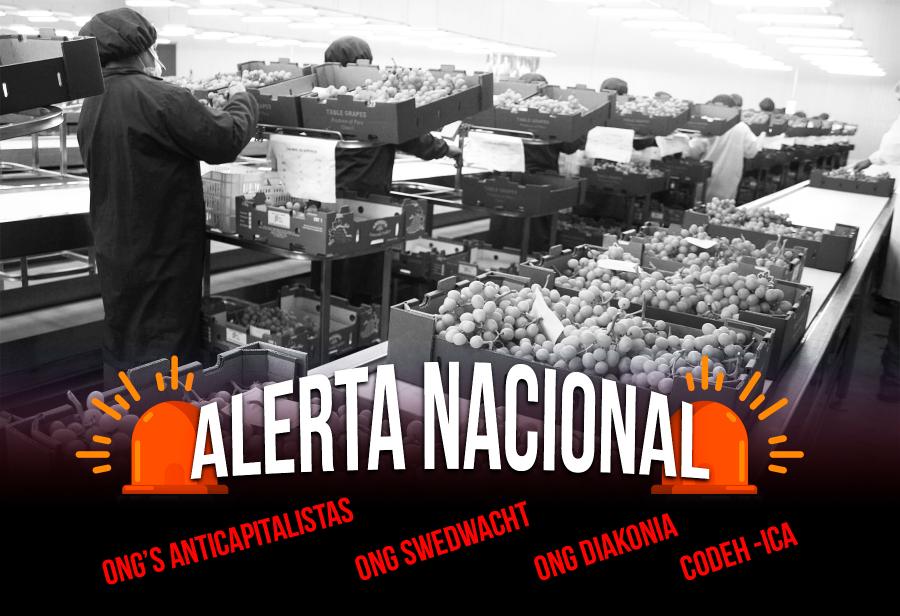 &iexcl;Milagro de Ica bajo ataque!