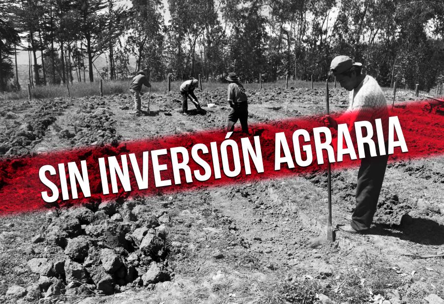 &iexcl;No detengan las inversiones agrarias!