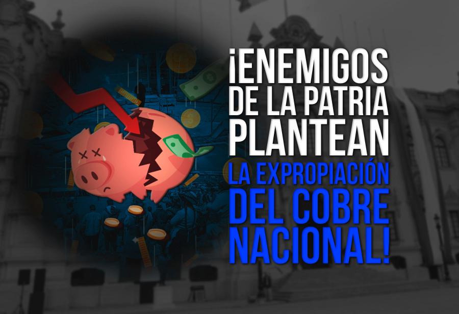 ¡Enemigos de la patria plantean la expropiación del cobre nacional!