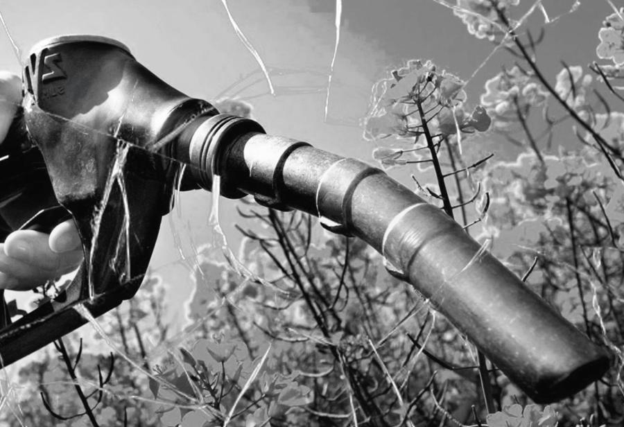 Incapacidad gubernamental para controlar las triangulaciones en la importación de biodiésel