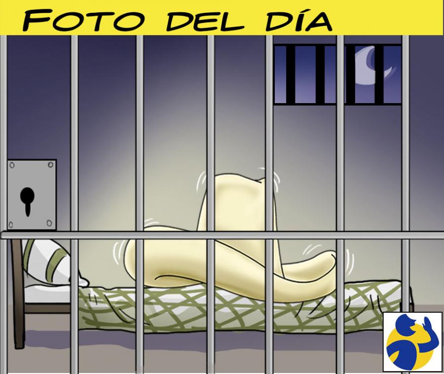 Caricatura del día #2227