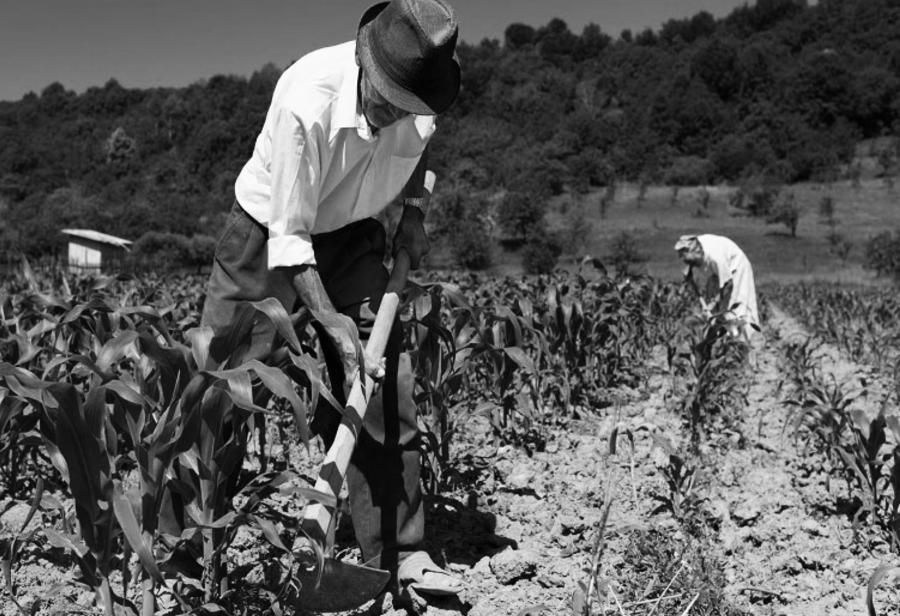 Tecnolog&iacute;as y alianzas p&uacute;blico-privadas para la formalizaci&oacute;n